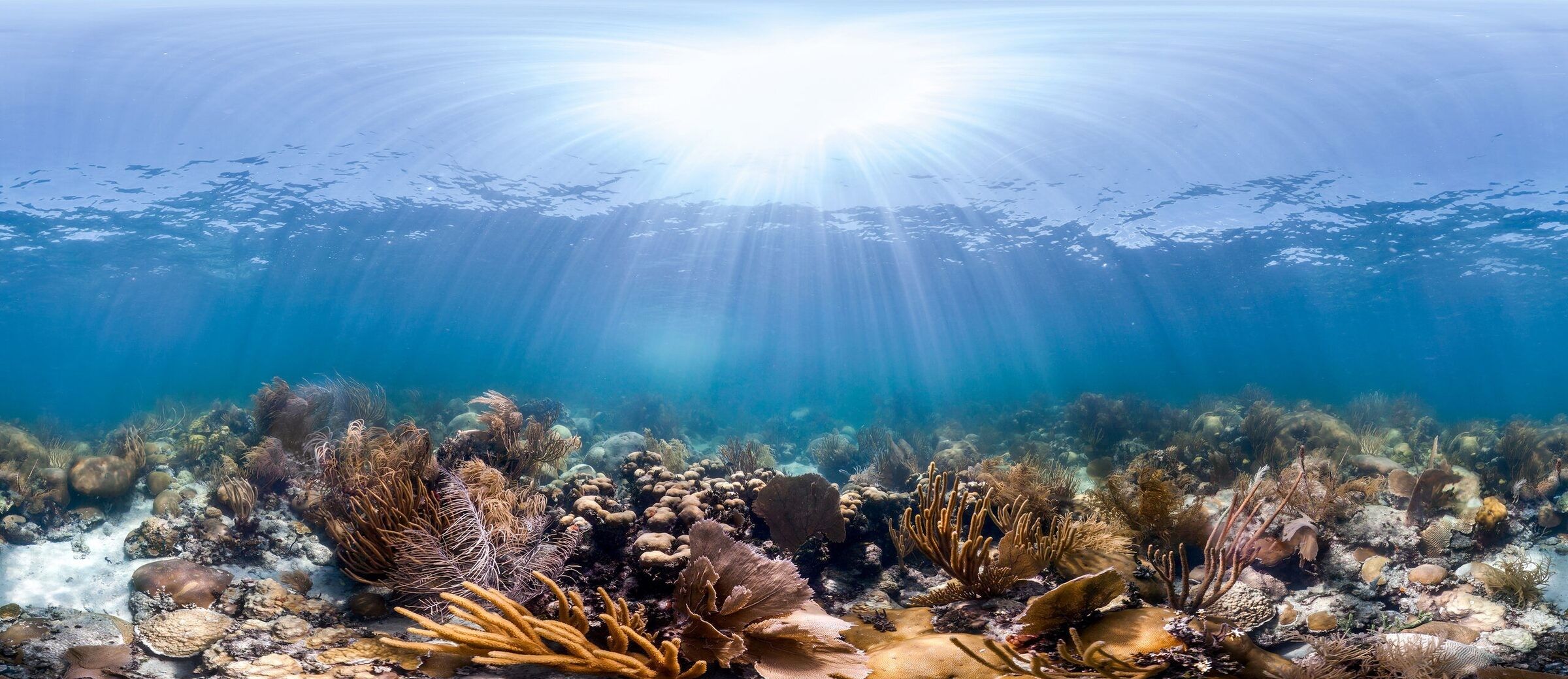 Cheeca Rocks 360° panorama, Florida Keys — Catlin Seaview Survey