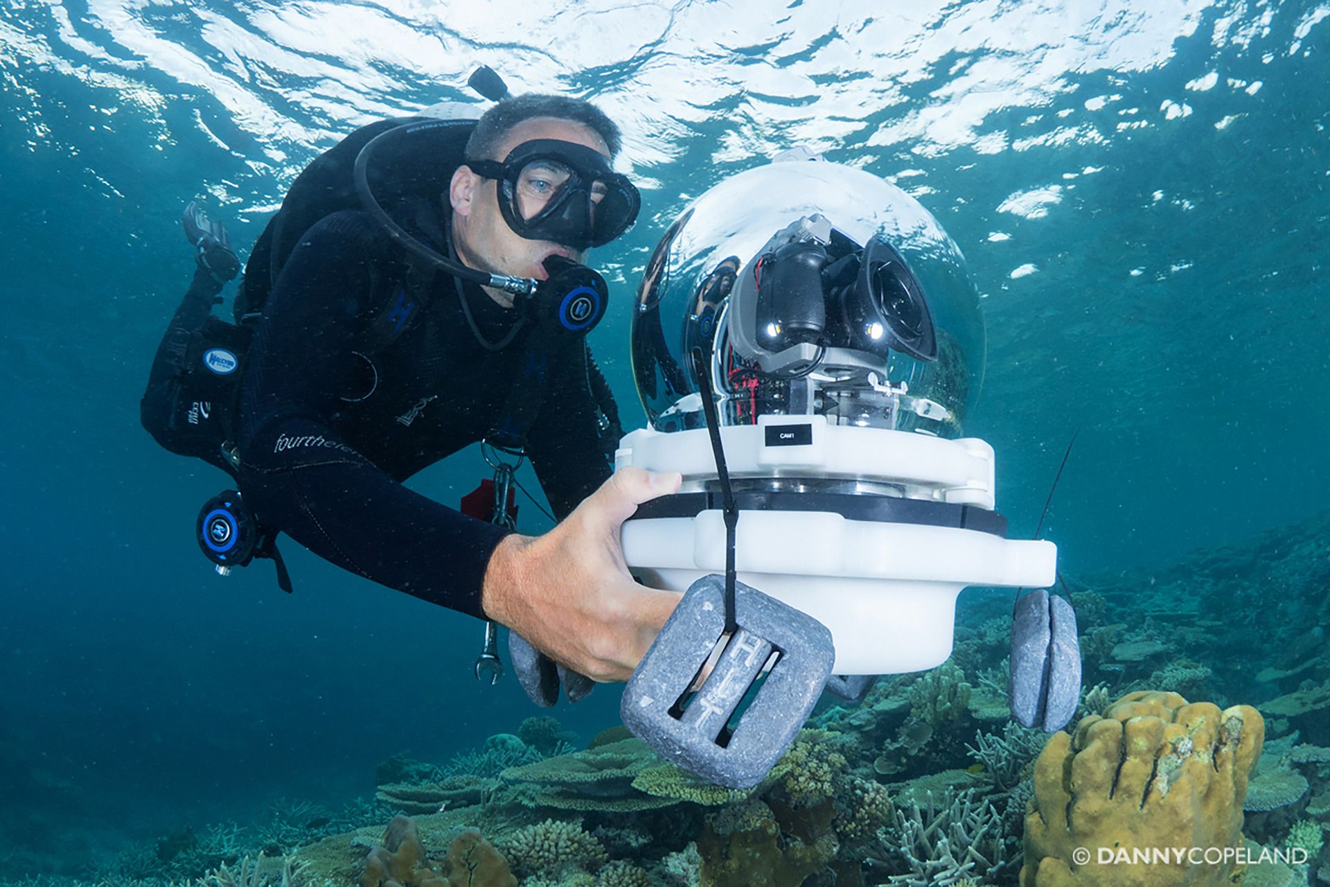 Chasing Coral key visual from the Google education programme